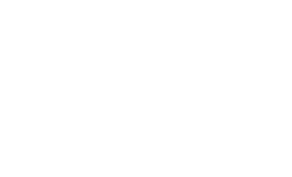 Pazemi – Aromatizadores Premium